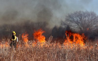 Prepare your property for wildfire, then review plans annually